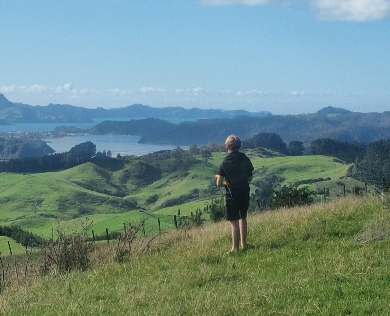 Taranoho Scenic Walk  - Guided