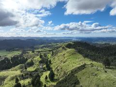 Taranoho Scenic Walk  - Self Guided