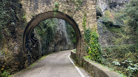 Rezdy_Entdecker_Tour_7