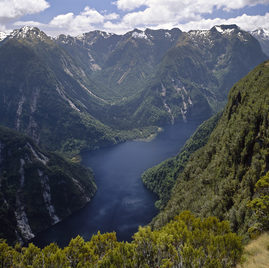 Doubtful Sound Discovery - Private Charter