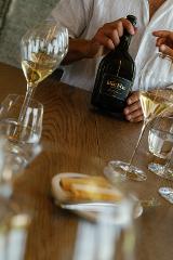 Fixation Tasting