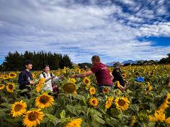 WOODSTONE FARM EXPERIENCE