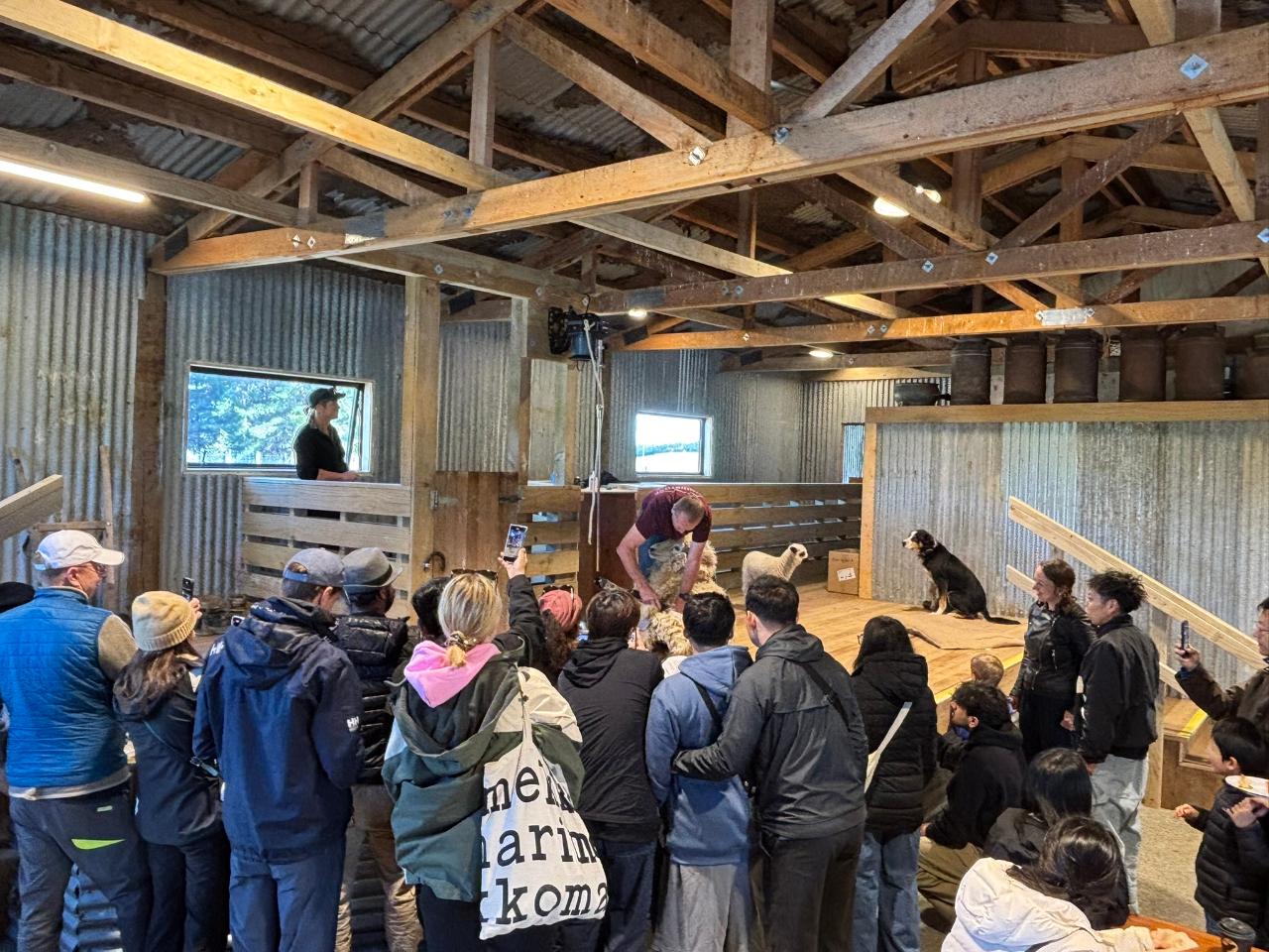 WOODSTONE FARM EXPERIENCE