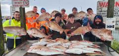 5HR Snapper & Gummy Charter (Book the Boat) Boat 1