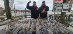 Squid Charter (Book the Boat) Boat 1