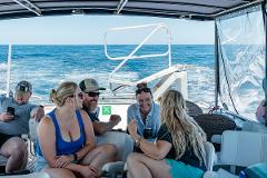 Adventure Cruise