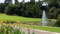 Puncak – Bogor Botanical Garden - The Hok Tek Bio Temple – China Town