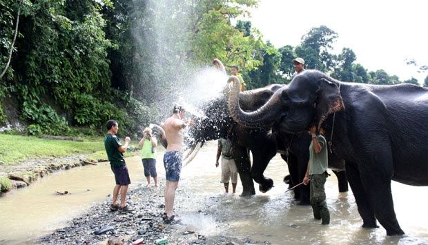 Gunung Leuser National Park Expedition