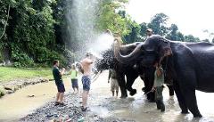 Gunung Leuser National Park Expedition