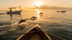 Bali Dolphin Sunrise Tour with Waterfalls & Temples