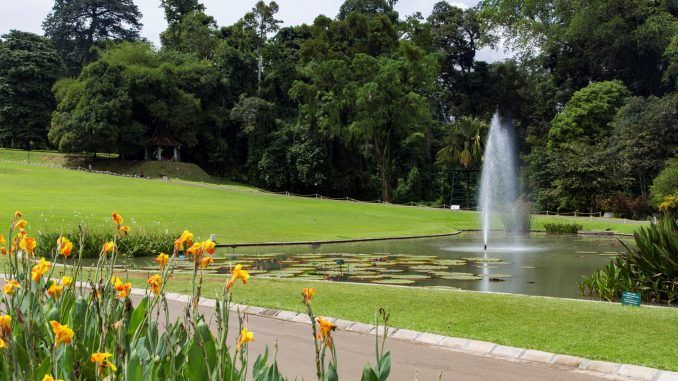Puncak – Bogor Botanical Garden – Safari Park