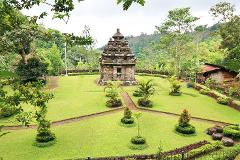 Selogriyo Soft Trekking with Borobudur Temple