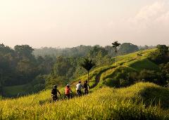 Batukaru & Jatiluwih Ebike Cycling Tour