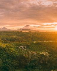 Jatiluwih Rice Terrace Cycling Tour