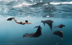 Liveaboard Komodo Adventure