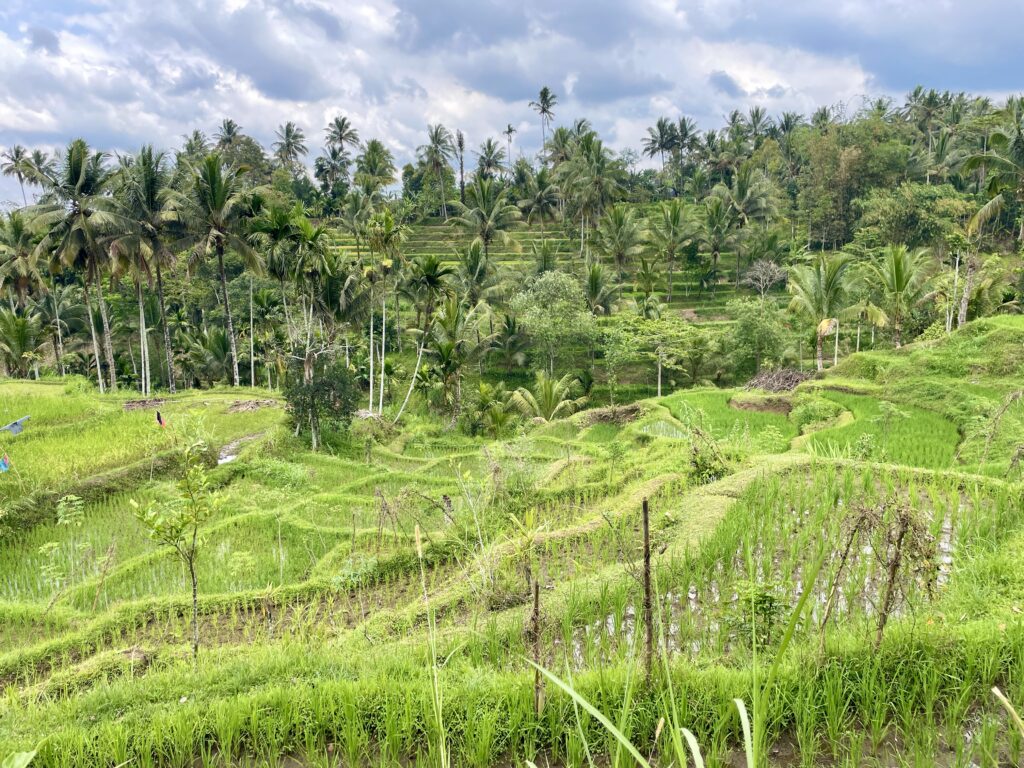 Tetebatu – Village Cycling Tour