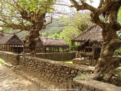 Explore The Ancient Bali