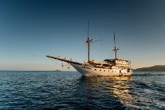 Adishree Phinisi: Sumbawa Whaleshark & Wonders Voyage