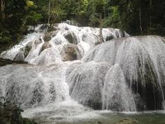 Best of Lore Lindu National Park Adventure