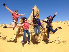 Explore The Best Of Perth - Wildlife Park, Swan Valley, Pinnacles and Sand Boarding