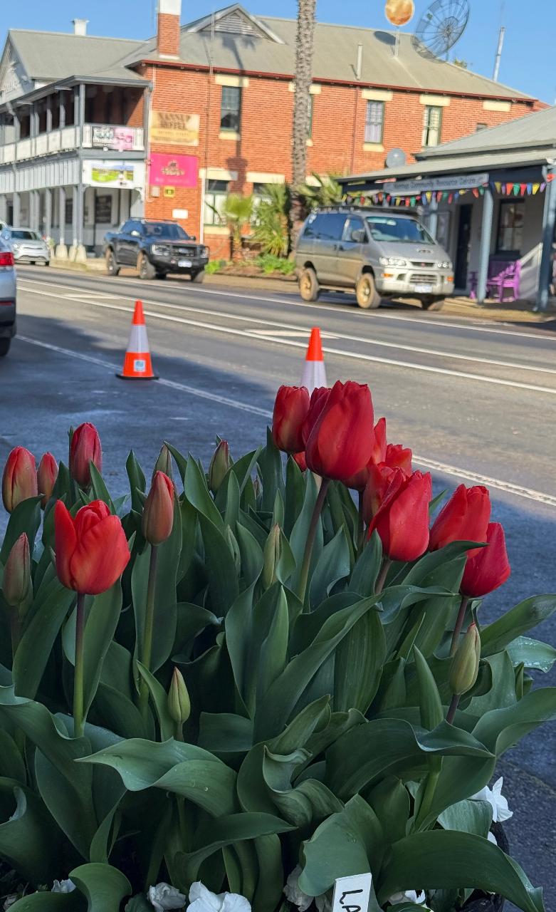2 Day Nannup Flower and Garden Festival