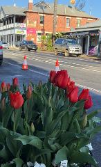 2 Day Nannup Flower and Garden Festival