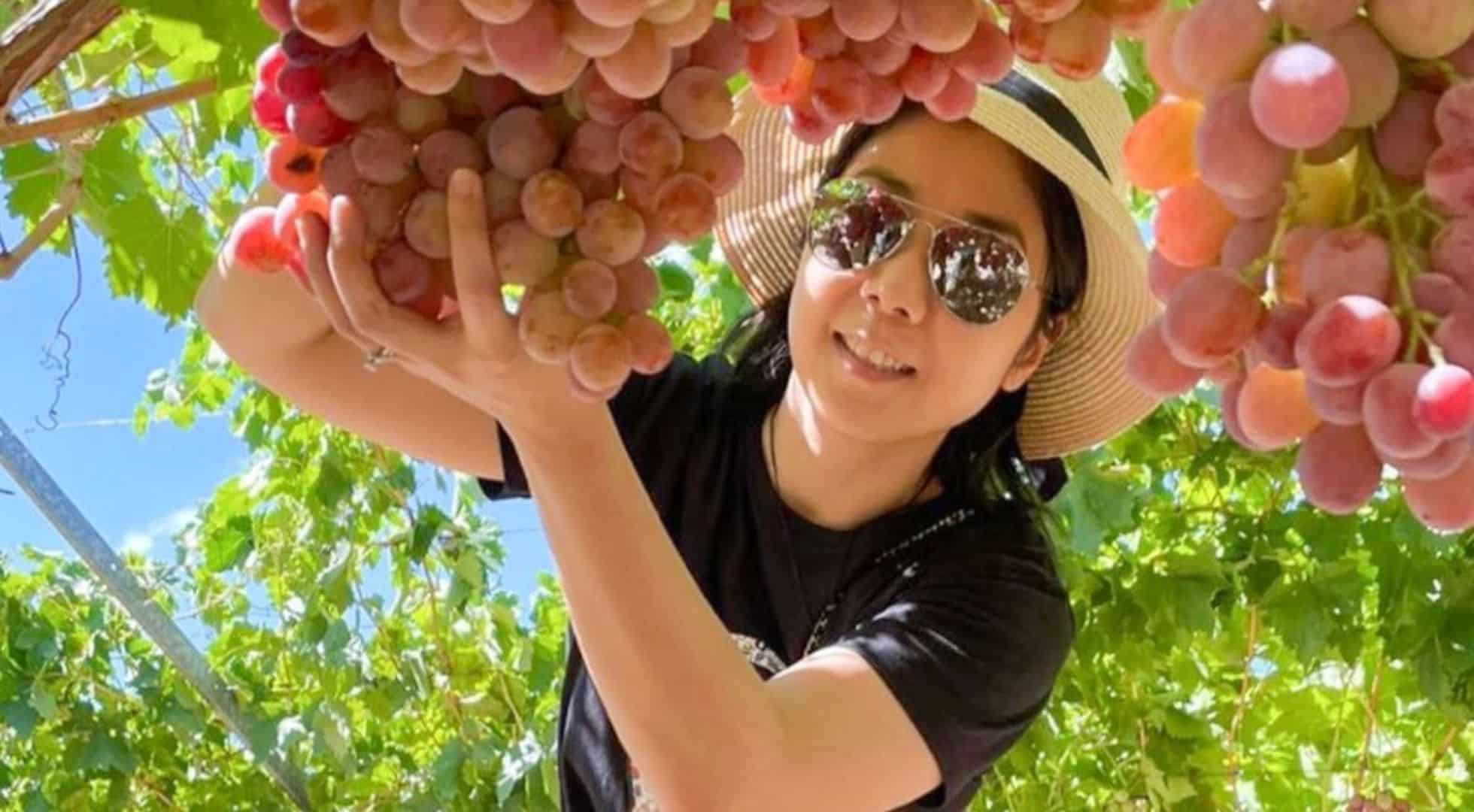 Perth Family Fun Day – Designed for Kids