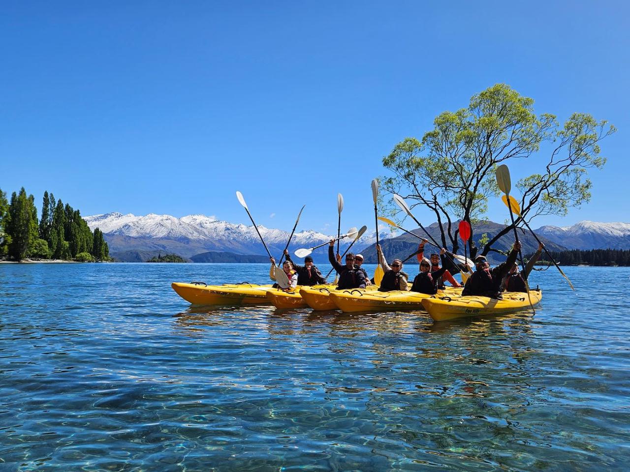Bay Explorer - Guided Tour