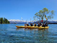 Bay Explorer - Guided Tour