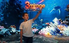 3Mirage Entry Ticket