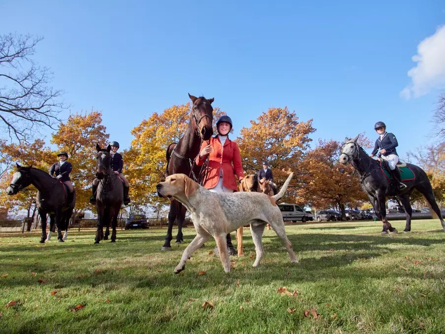 ANNUAL CLARENDON ESTATE FEATURE HUNT