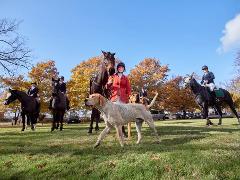 ANNUAL CLARENDON ESTATE FEATURE HUNT