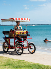 Cruiser Bike + Picnic