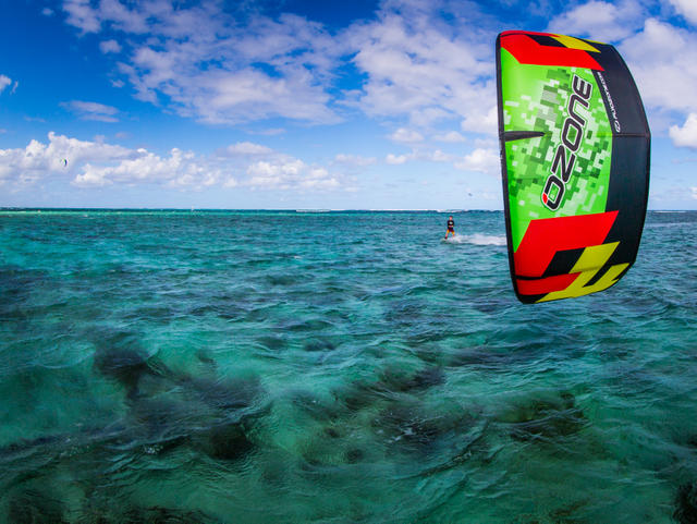 Beginner / Level 1 - 2.5hr