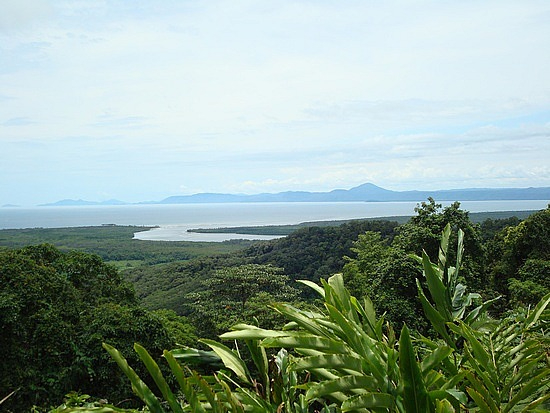 Premium Daintree & Cape Tribulation Day Tour
