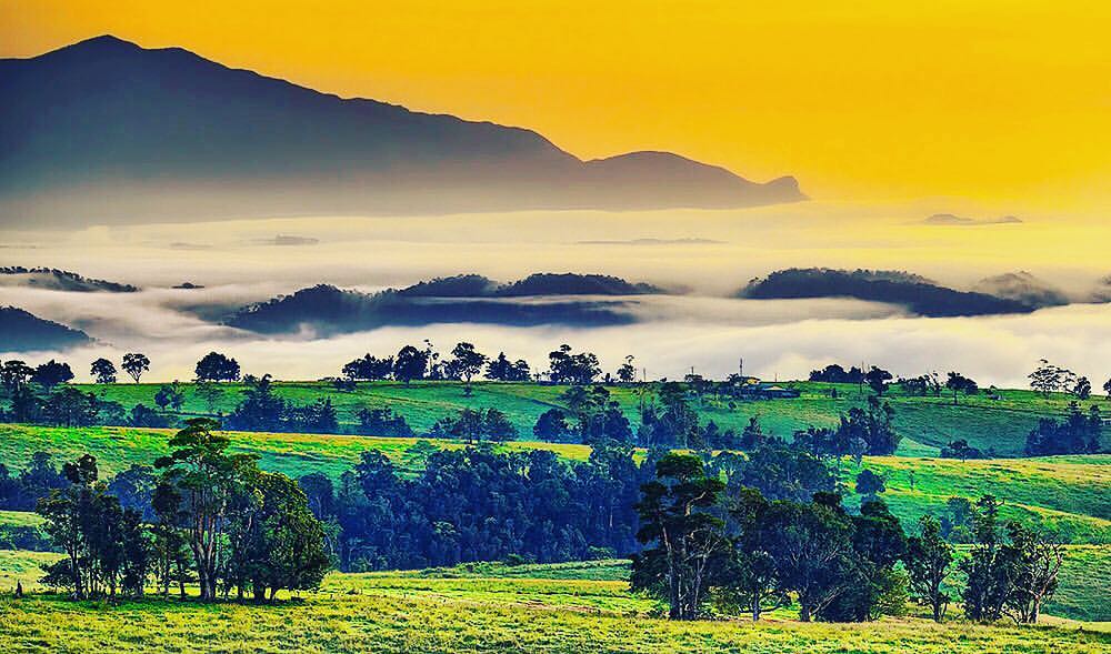 Atherton Tablelands & Paronella Park Eco Tour