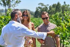 The Mothervine Experience