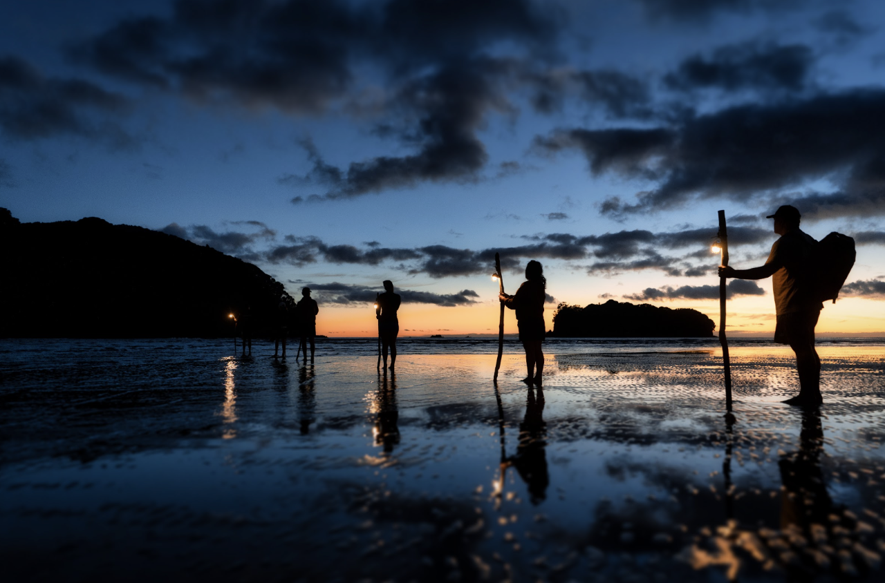 Tour Tahi - Island Crossing