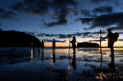 Tour Tahi - Island Crossing