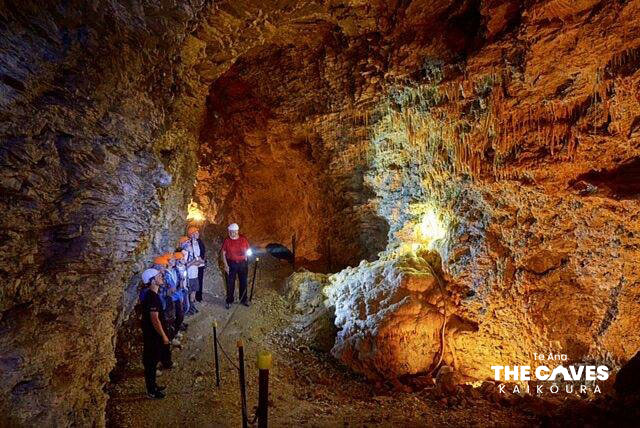 TE ANA THE CAVES GUIDED TOUR