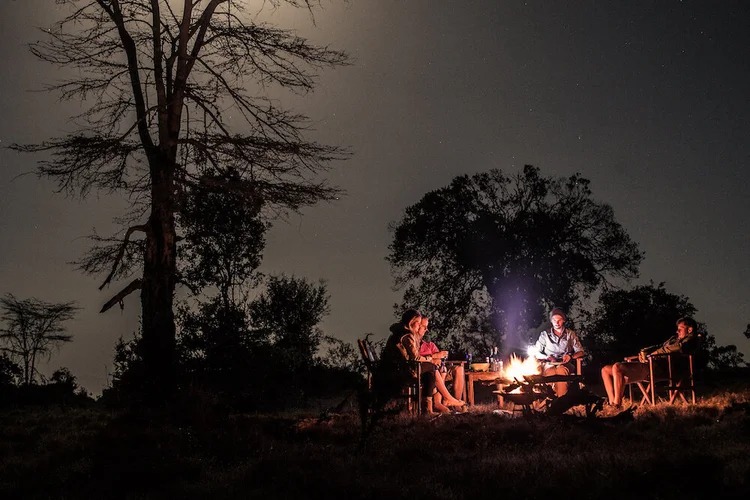 Starlight Explorer: An Authentic Nocturnal Adventure