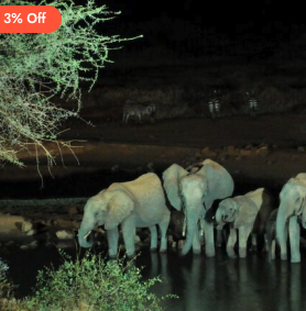 Luxury Night Safari Kenya | Full Moon Experiences & Private Stargazing