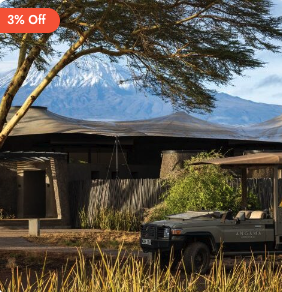 Starlight Serenade: A Comfortable Cultural Safari
