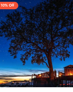 Lunar Wild: The Ultimate Nocturnal Expedition