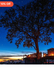 Lunar Wild: The Ultimate Nocturnal Expedition