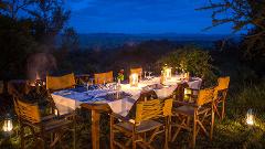 The Gourmet Crown: A Curated Culinary Odyssey