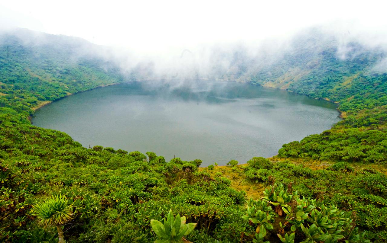 The Explorer's Passage: Value-Driven Safari