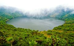 The Explorer's Passage: Value-Driven Safari