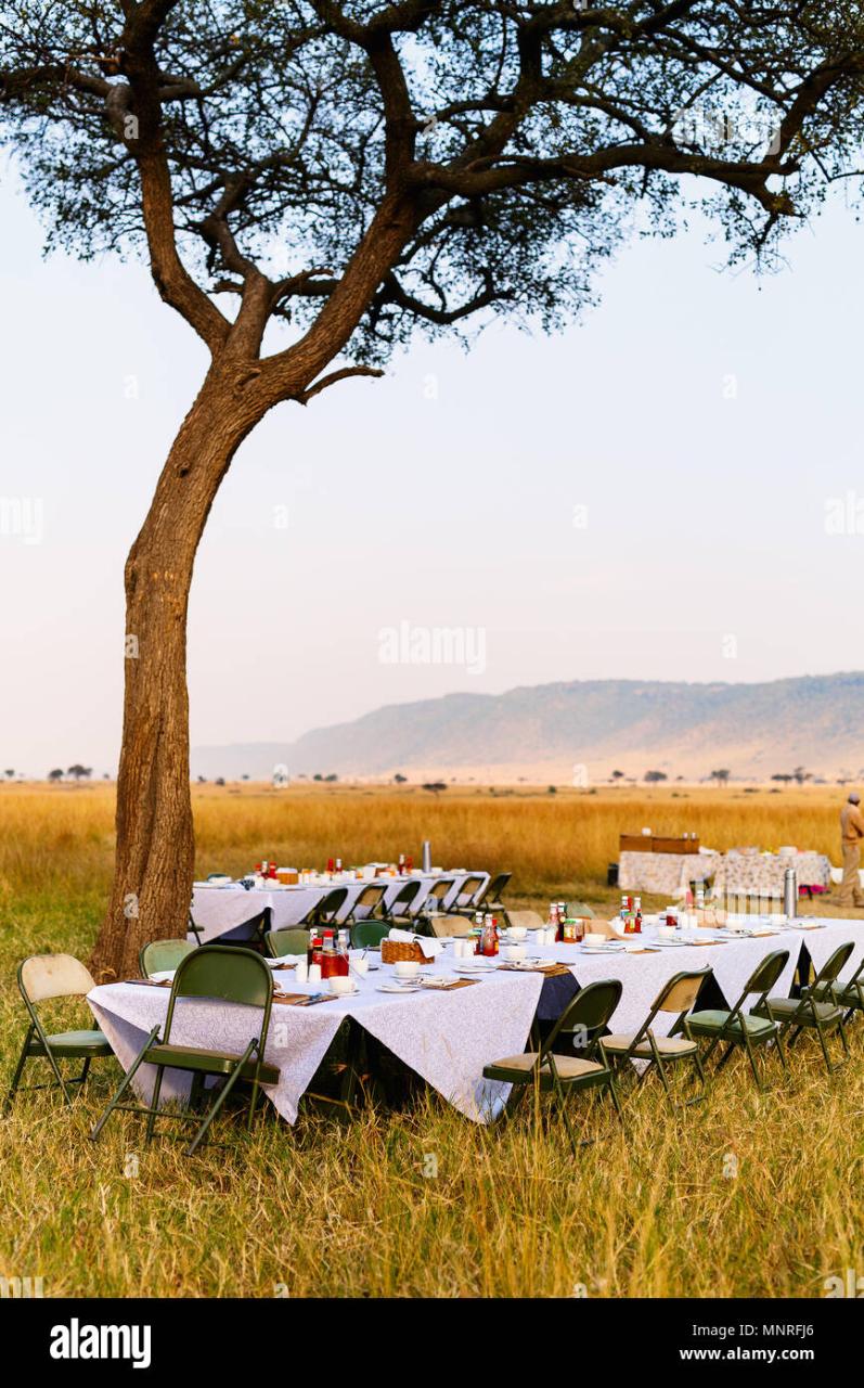 7-Day Luxury Honeymoon Safari & Beach (Maasai Mara & Diani)
