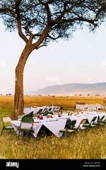 7-Day Luxury Honeymoon Safari & Beach (Maasai Mara & Diani)